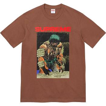 Camiseta Supreme Ronin Tee Marrones | Supreme 391GL